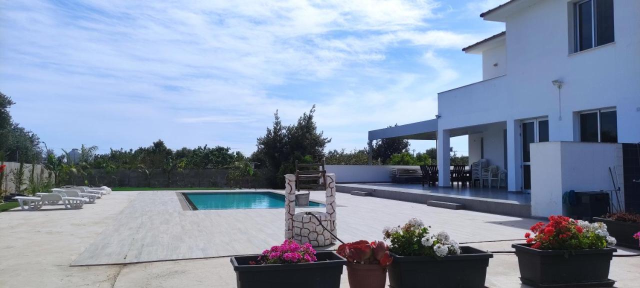 Kiti Village Villa, Cyprus, Salt-Water Pool, 6 Bedrooms, Larnaca エクステリア 写真