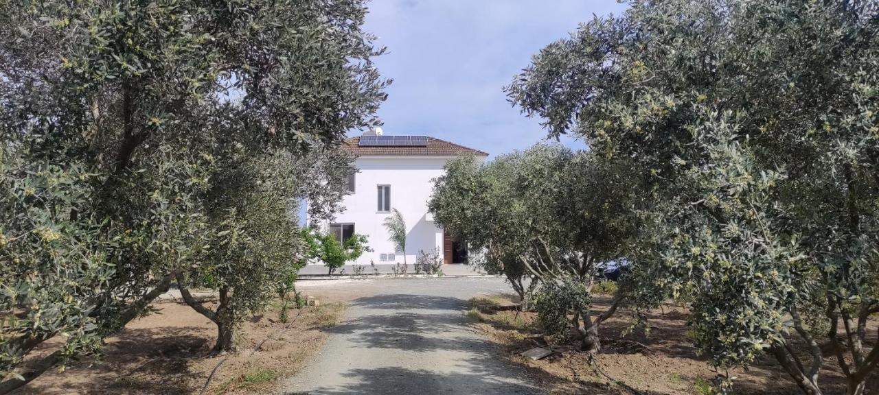Kiti Village Villa, Cyprus, Salt-Water Pool, 6 Bedrooms, Larnaca エクステリア 写真